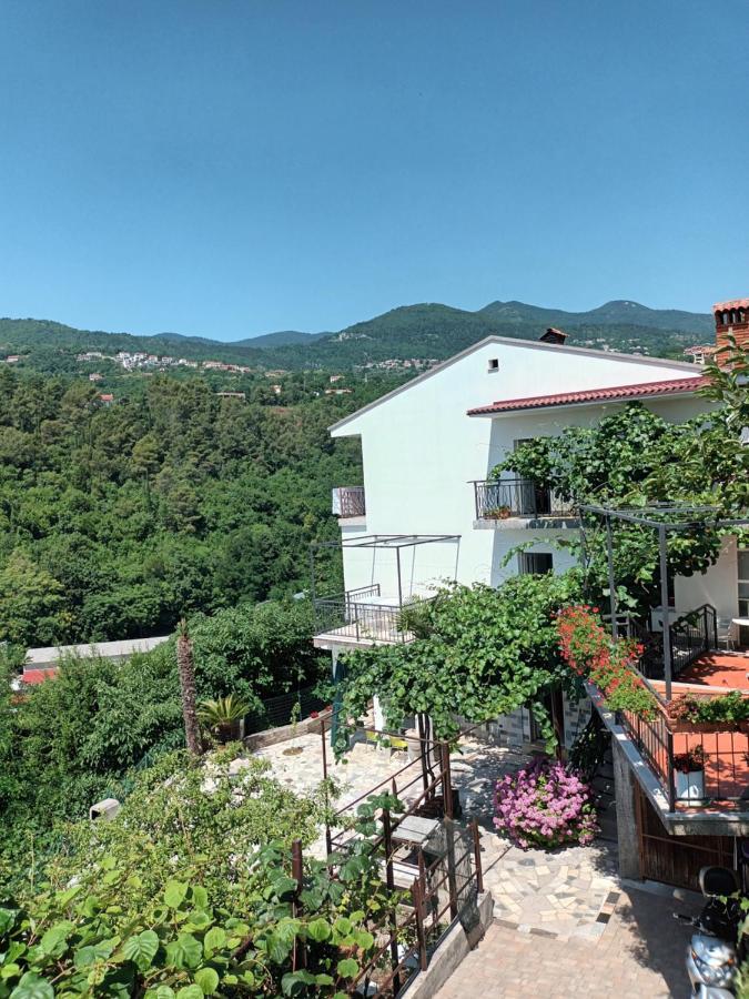 Apartments Branka Ika Exterior foto